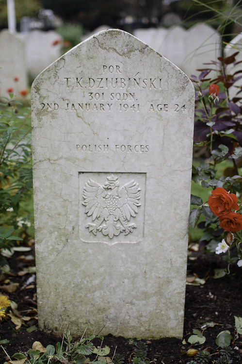 Tadeusz Dziubinski Polish War Grave