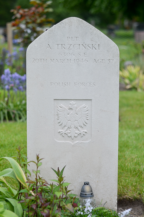 Aleksander Trzcinski Polish War Grave