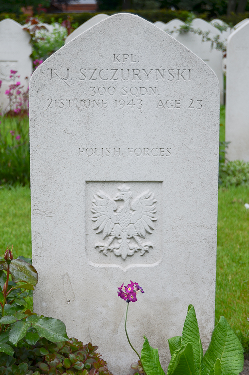 Tadeusz Jozef Szczurynski Polish War Grave