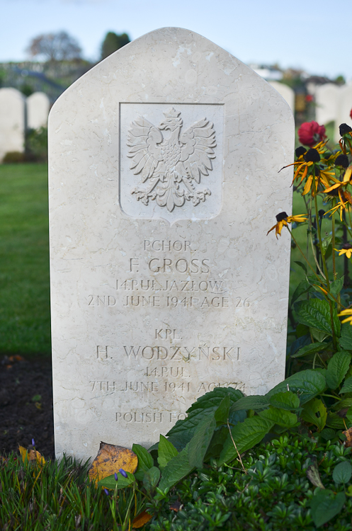 Henryk Wodzynski Polish War Grave