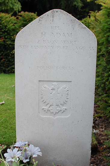 Herman Adam Polish War Grave