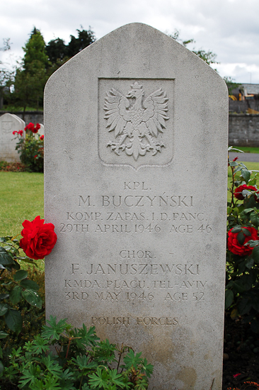 Franciszek Januszewski Polish War Grave