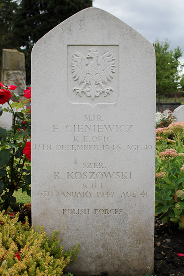 Franciszek Cieniewicz Polish War Grave