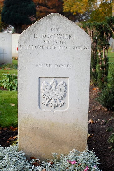 D Rozewicki Polish War Grave