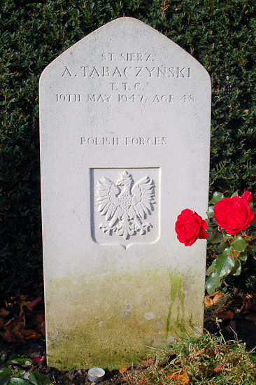 Antoni Tabaczynski Polish War Grave