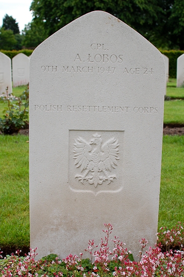Alfred Lobos Polish War Grave