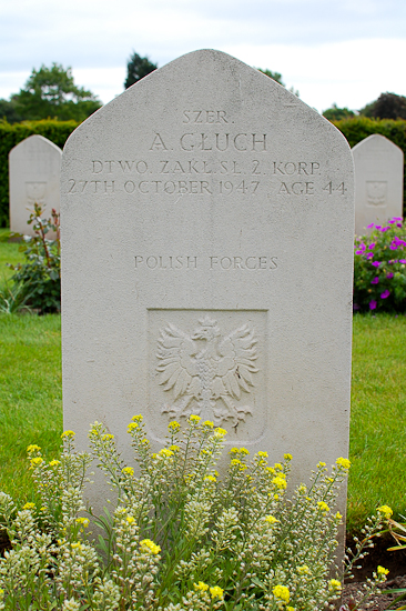 Alfred Gluch Polish War Grave